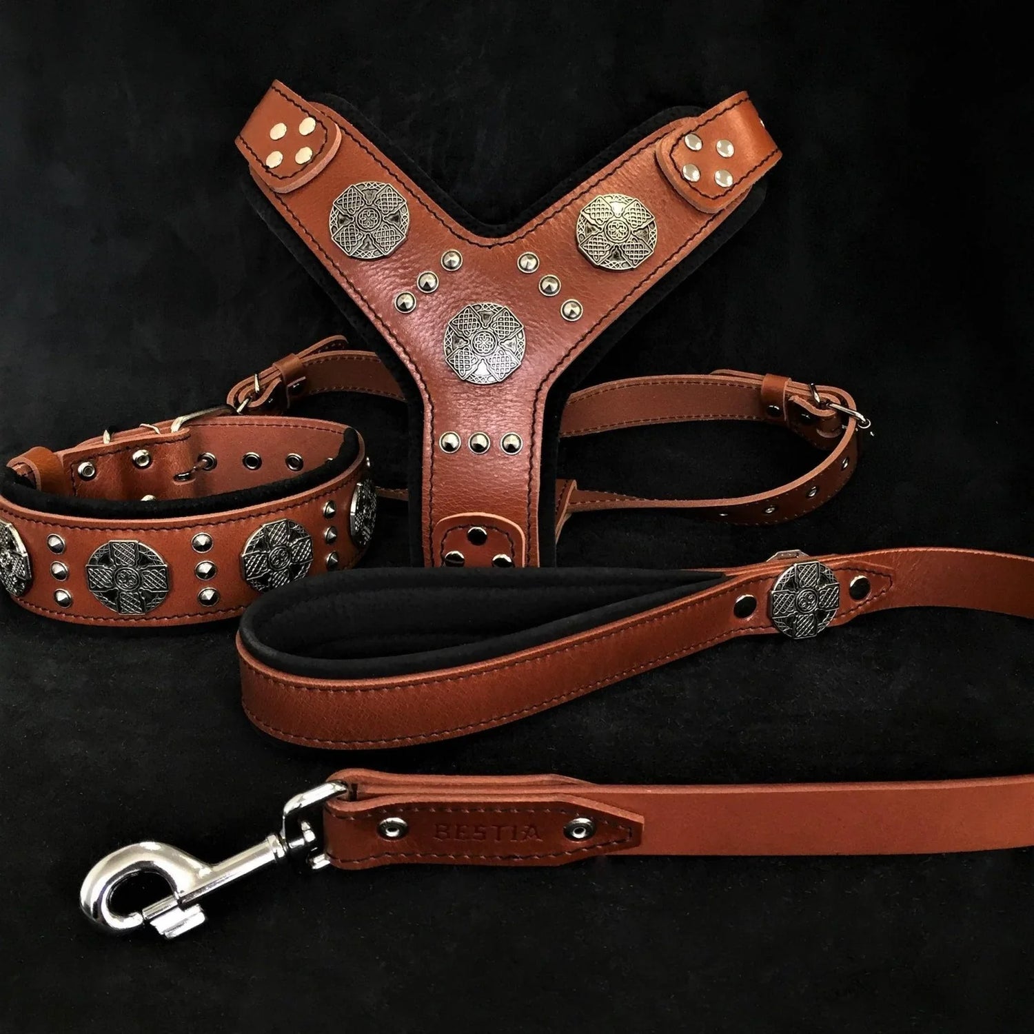 Collars & Leashes