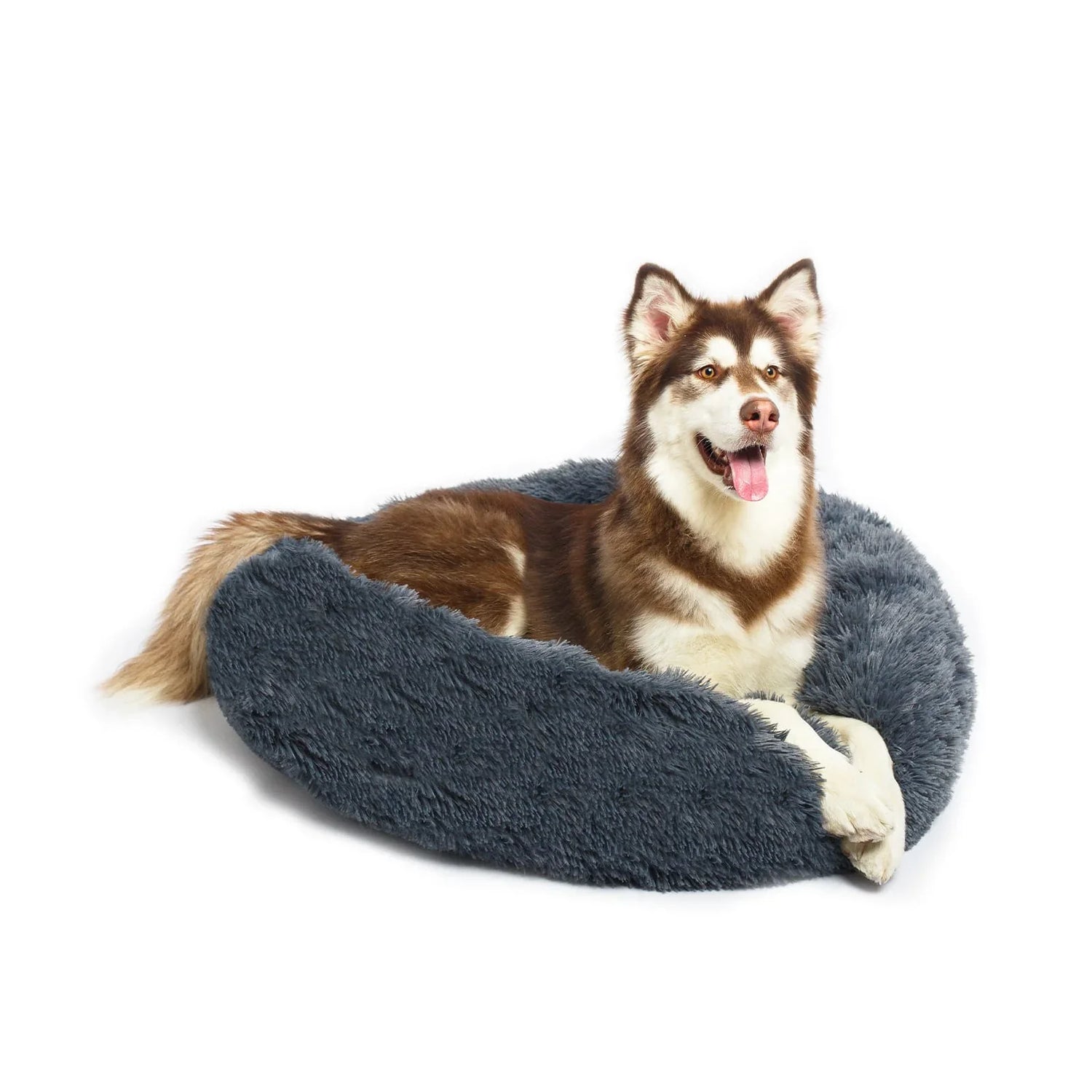 Dog Beds